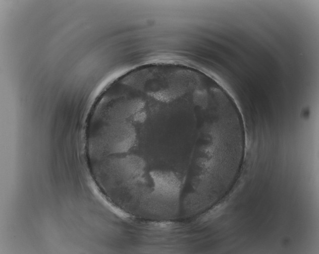 X0000112901045200908281720