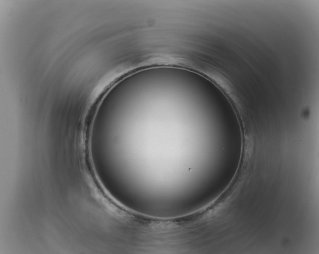 X0000112901046200908281720