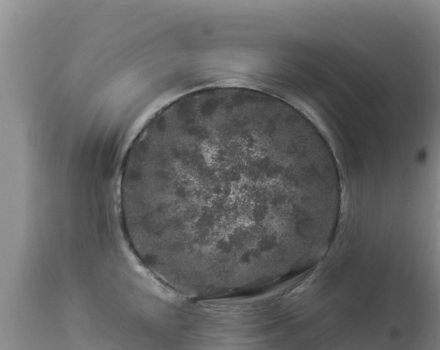 X0000112901048200908281720