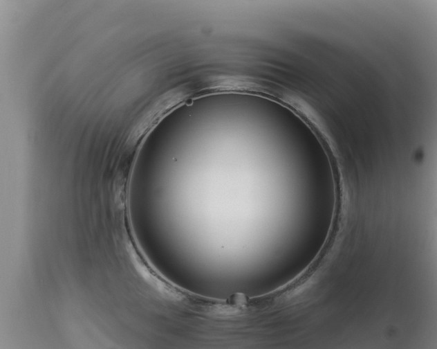 X0000112901049200908281720