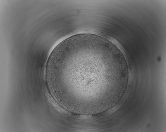 X0000112901052200908281720