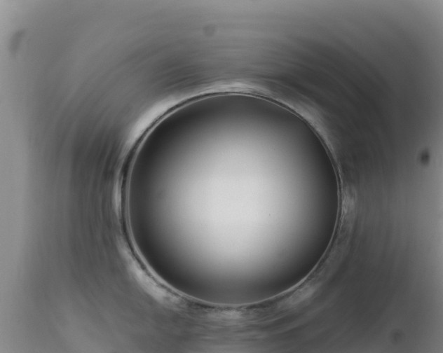 X0000112901054200908281720