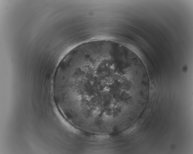 X0000112901055200908281720