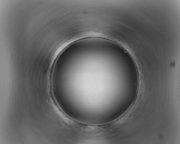 X0000112901056200908281720