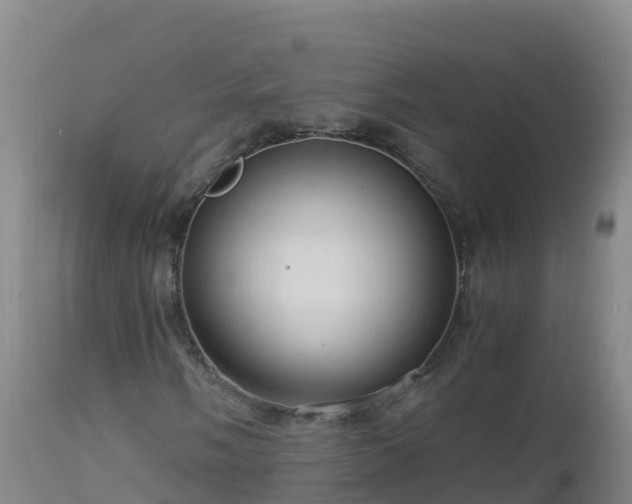 X0000112901058200908281719