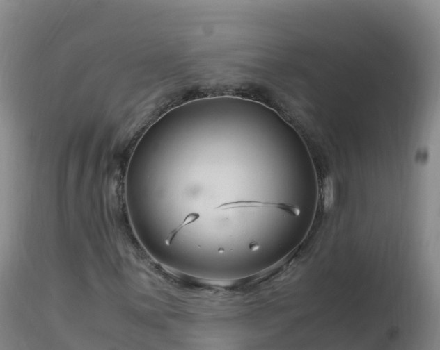 X0000112901059200908281719