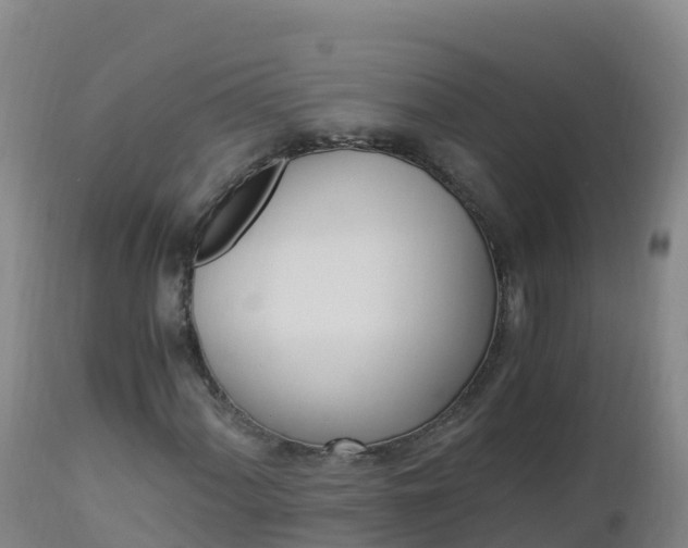 X0000112901060200908281719