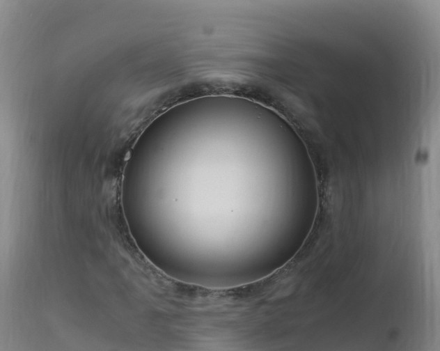 X0000112901061200908281719