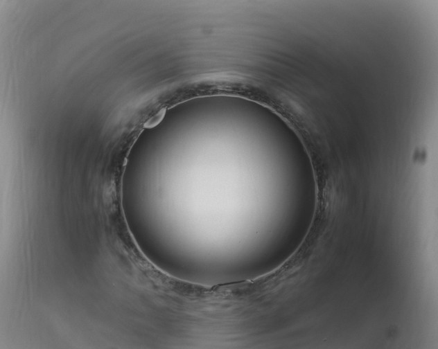 X0000112901062200908281719