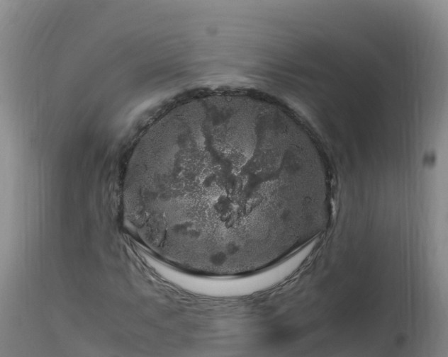 X0000112901063200908281719