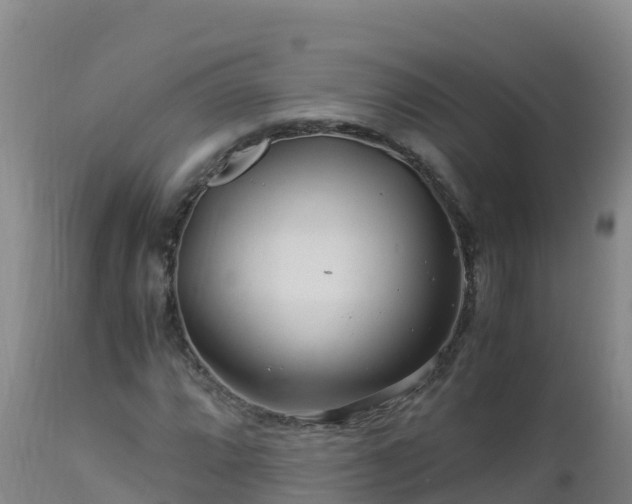 X0000112901064200908281719