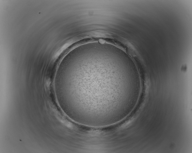 X0000112901065200908281719