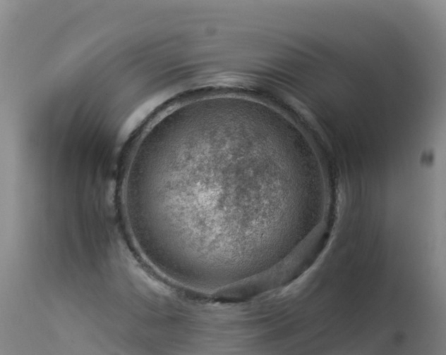 X0000112901066200908281719