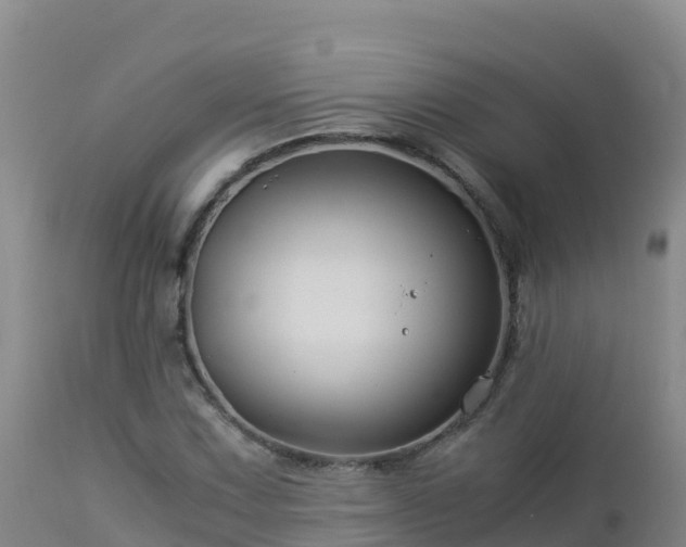 X0000112901067200908281719