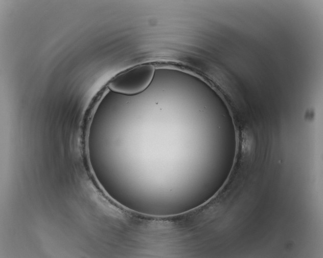 X0000112901068200908281719