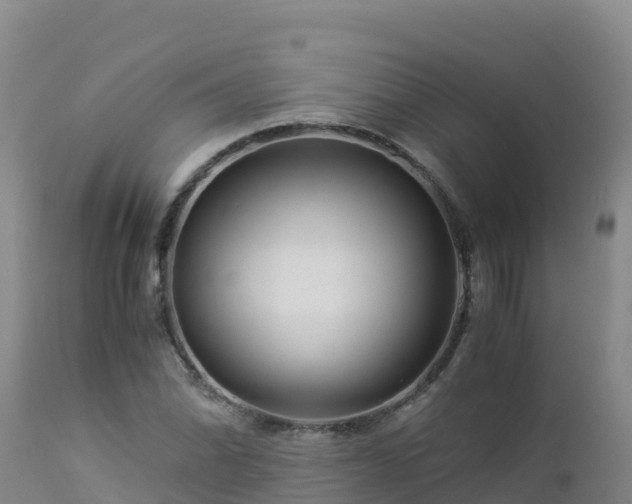 X0000112901070200908281719