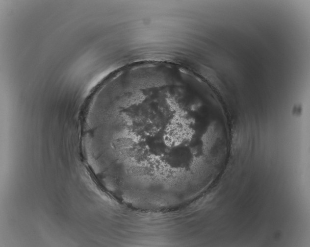 X0000112901071200908281719