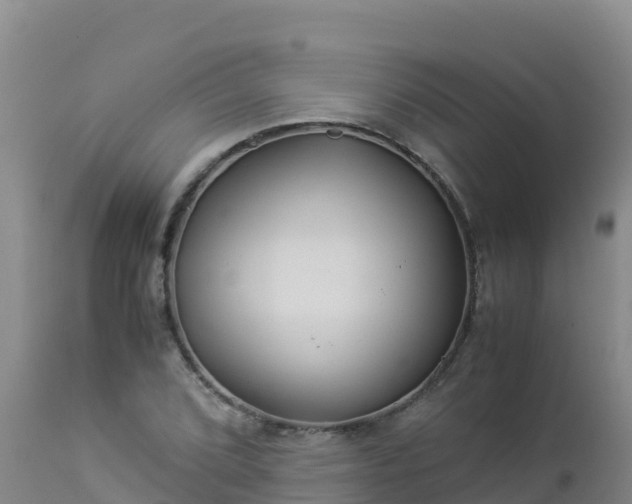 X0000112901072200908281719