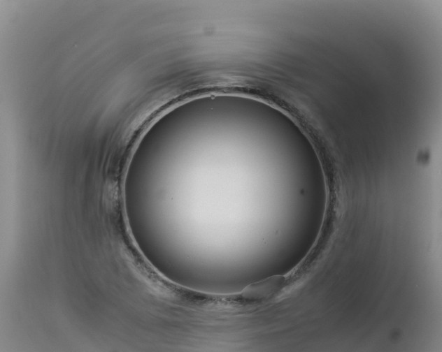 X0000112901073200908281719