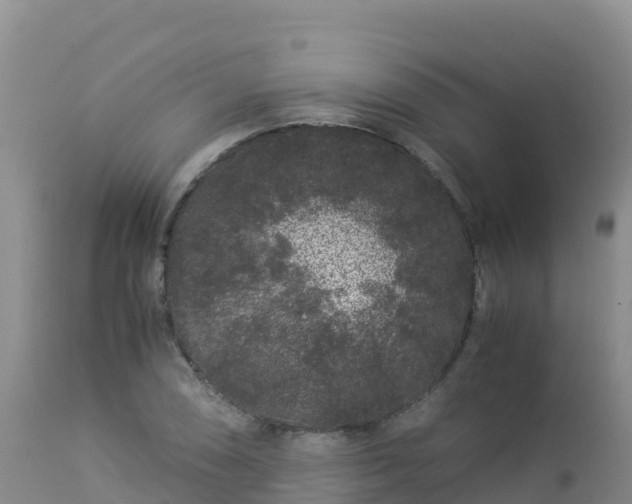 X0000112901074200908281719