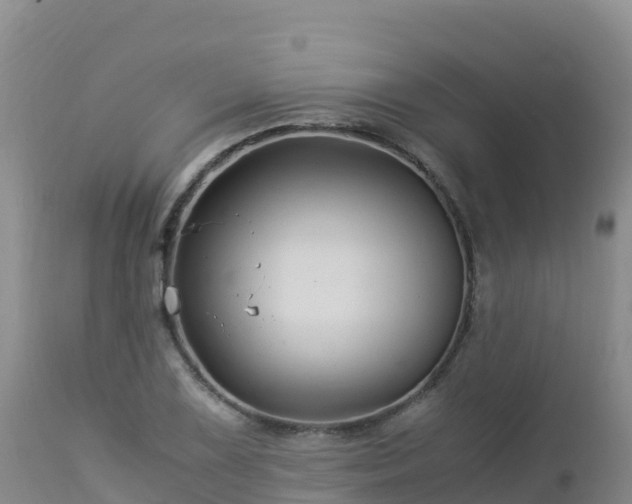 X0000112901075200908281719