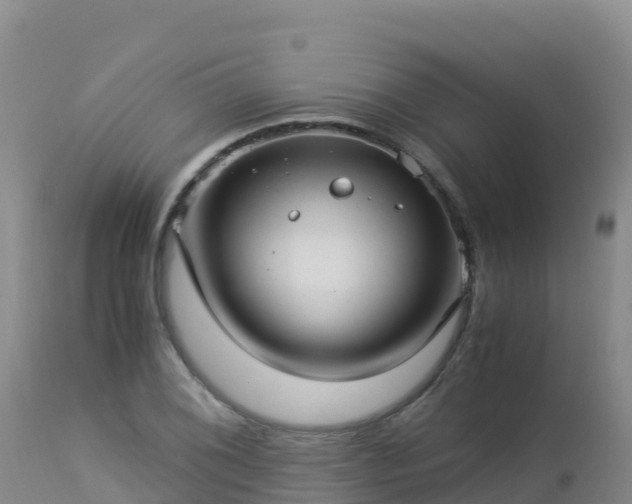 X0000112901076200908281719