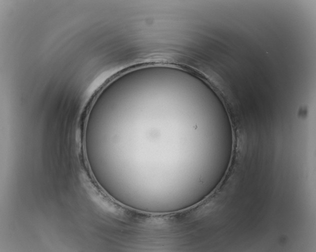 X0000112901078200908281719