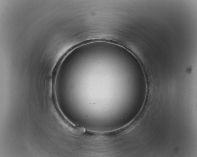 X0000112901079200908281719