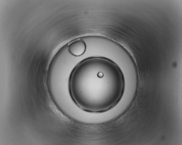 X0000112901080200908281719