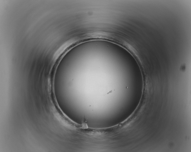 X0000112901082200908281719