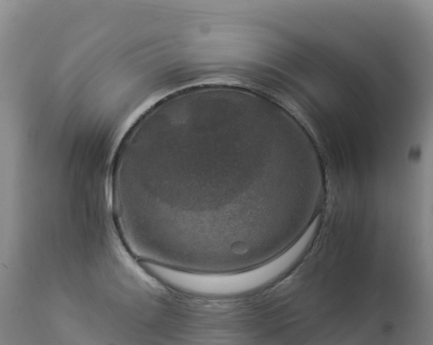 X0000112901084200908281719