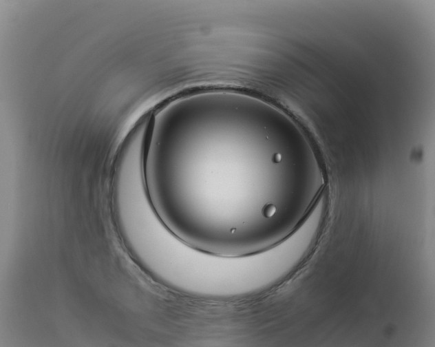 X0000112901085200908281719