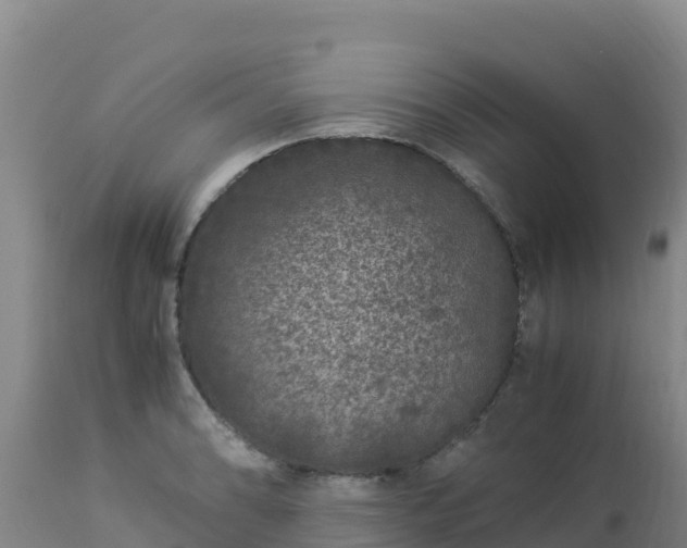 X0000112901086200908281719