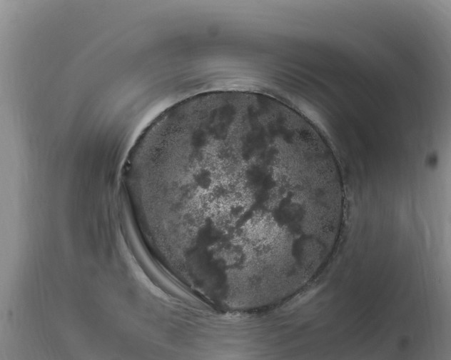 X0000112901087200908281719