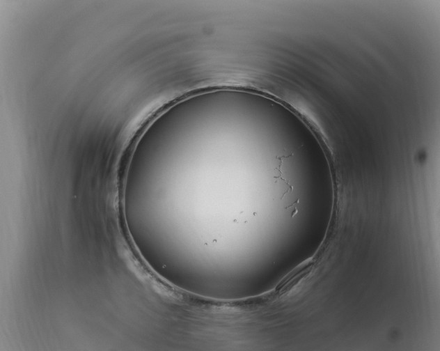 X0000112901088200908281719