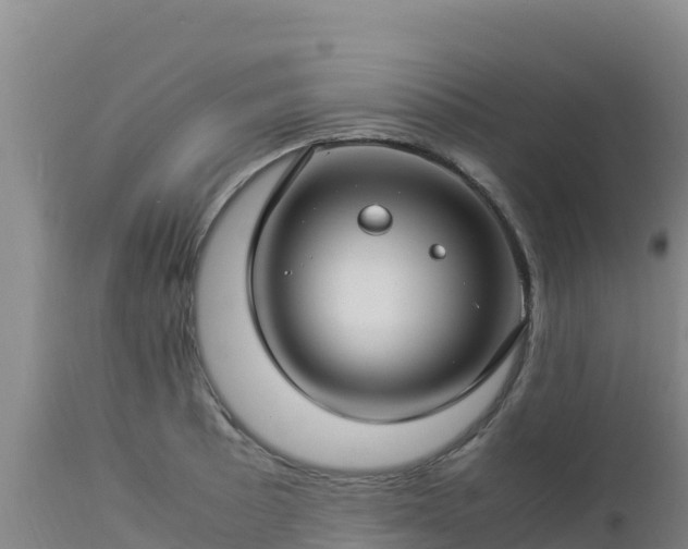 X0000112901089200908281719