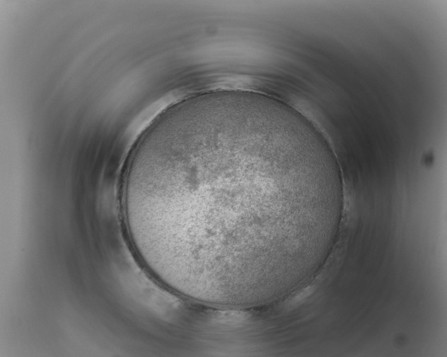 X0000112901090200908281719