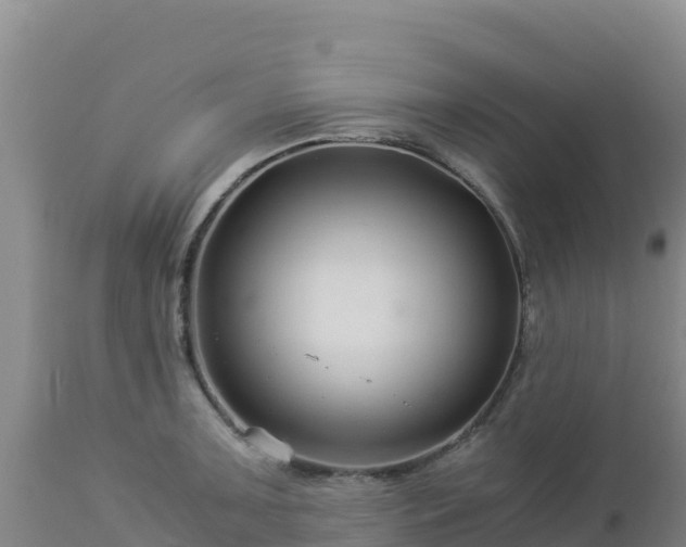 X0000112901091200908281719