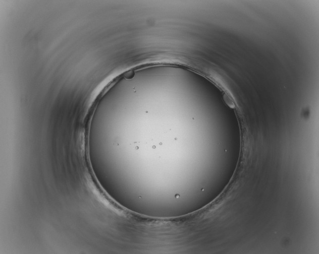 X0000112901092200908281719