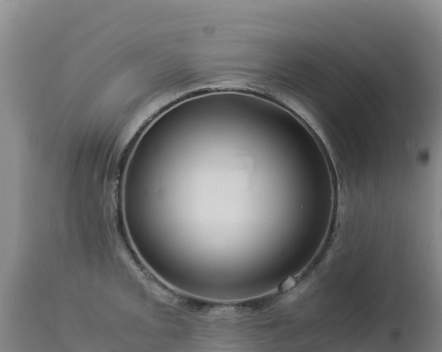 X0000112901093200908281719