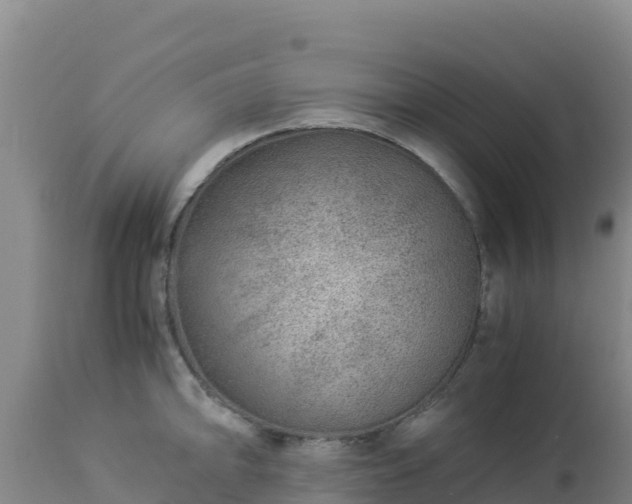 X0000112901094200908281719