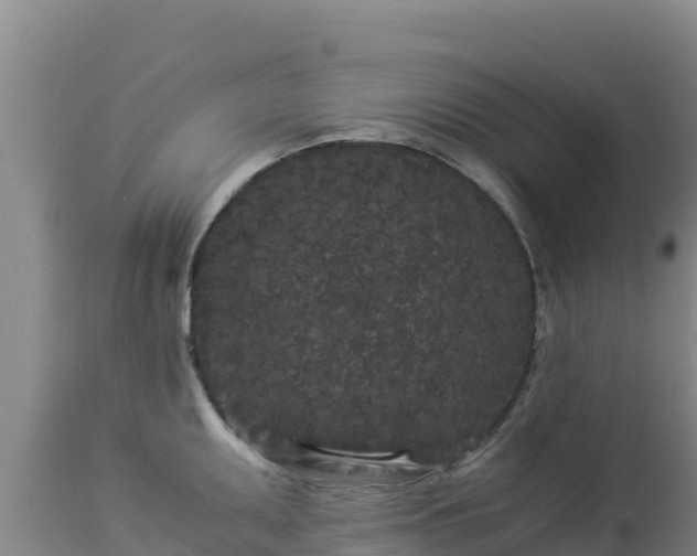 X0000112901095200908281719