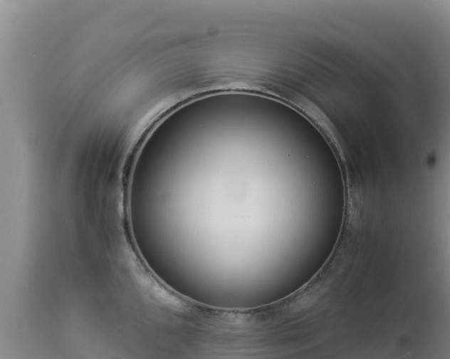 X0000112901096200908281719