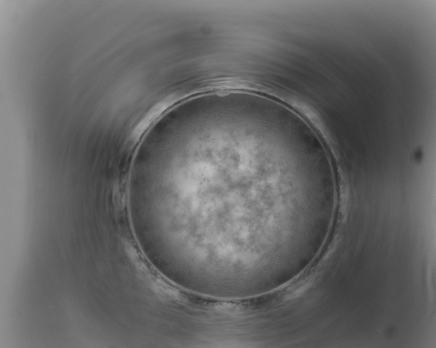 X0000112901097200908281719