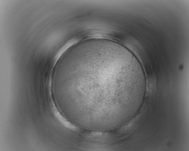 X0000112901098200908281719