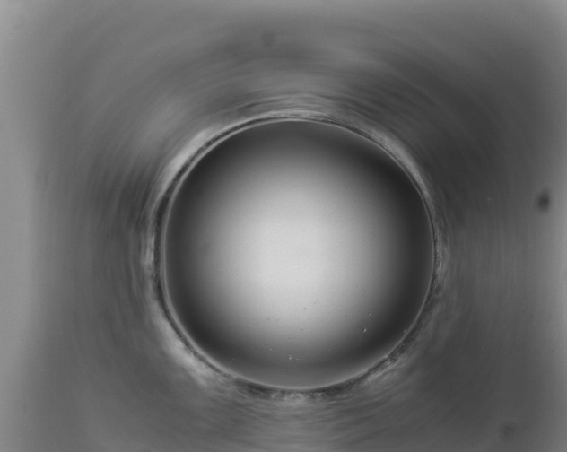 X0000112901099200908281719