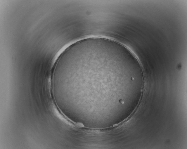 X0000112901100200908281719