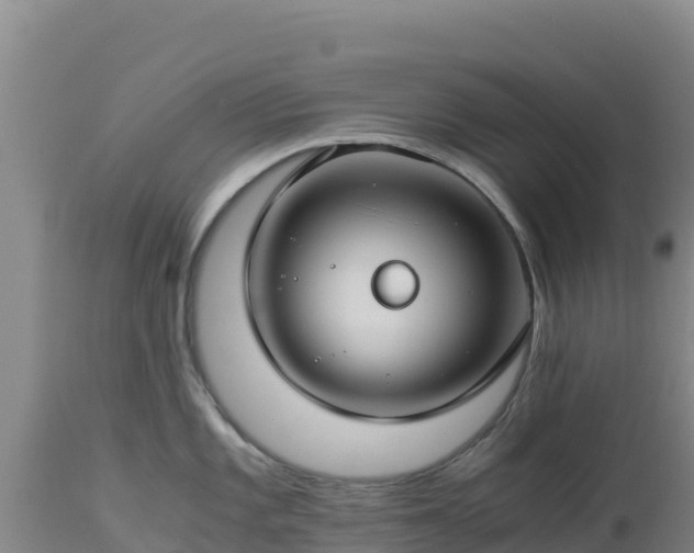 X0000112901101200908281719