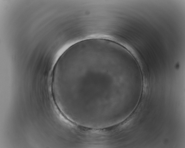 X0000112901102200908281719