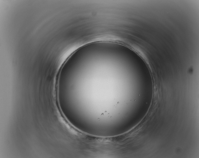 X0000112901103200908281719